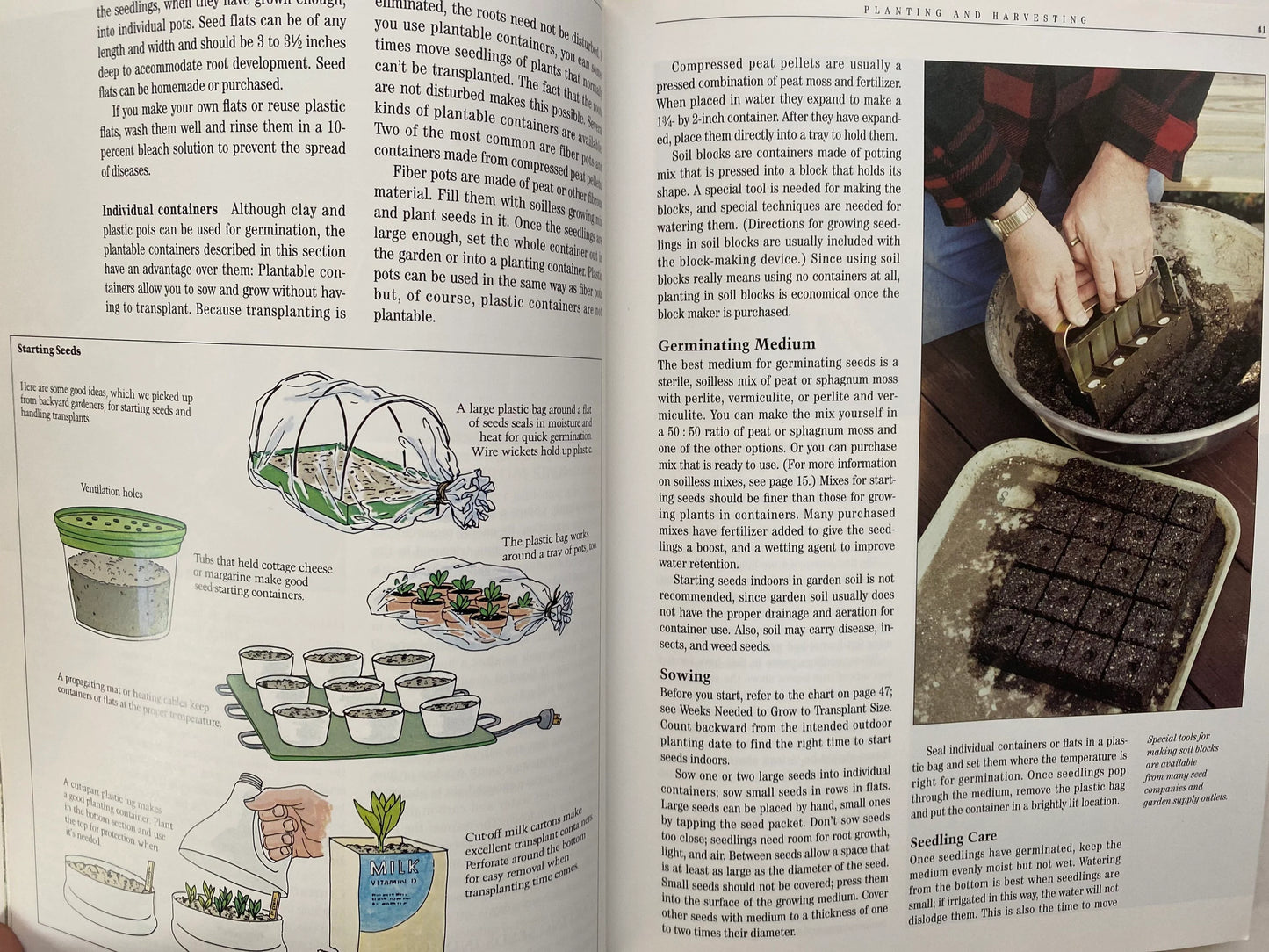 All About Vegetables (used)