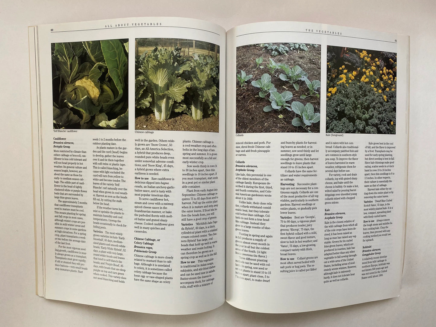 All About Vegetables (used)