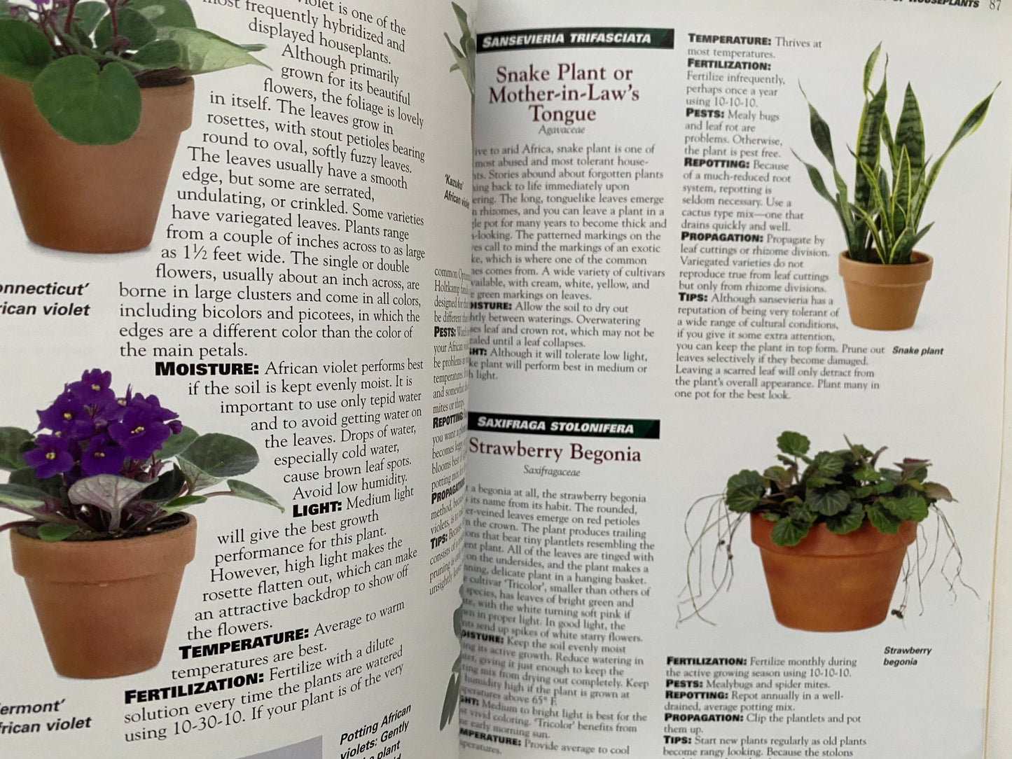 Houseplants (used)