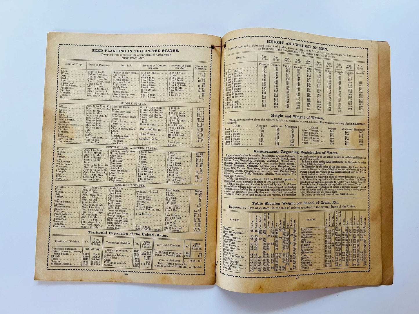 Swamp Root Almanac 1917 (antique)