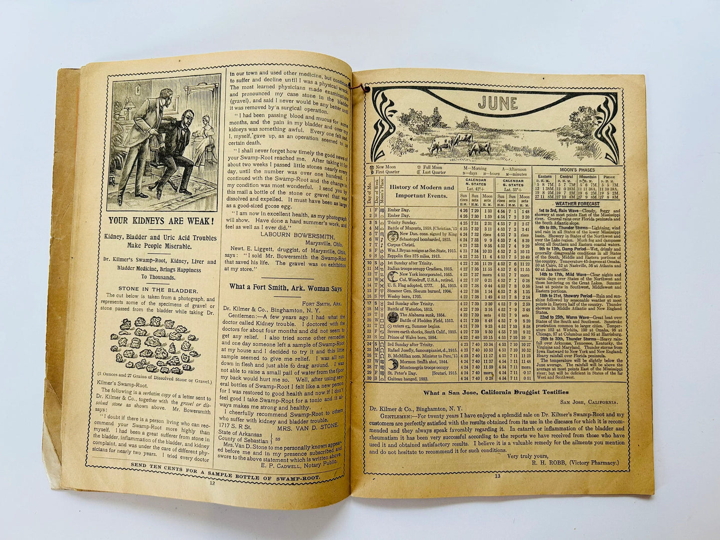 Swamp Root Almanac 1917 (antique)