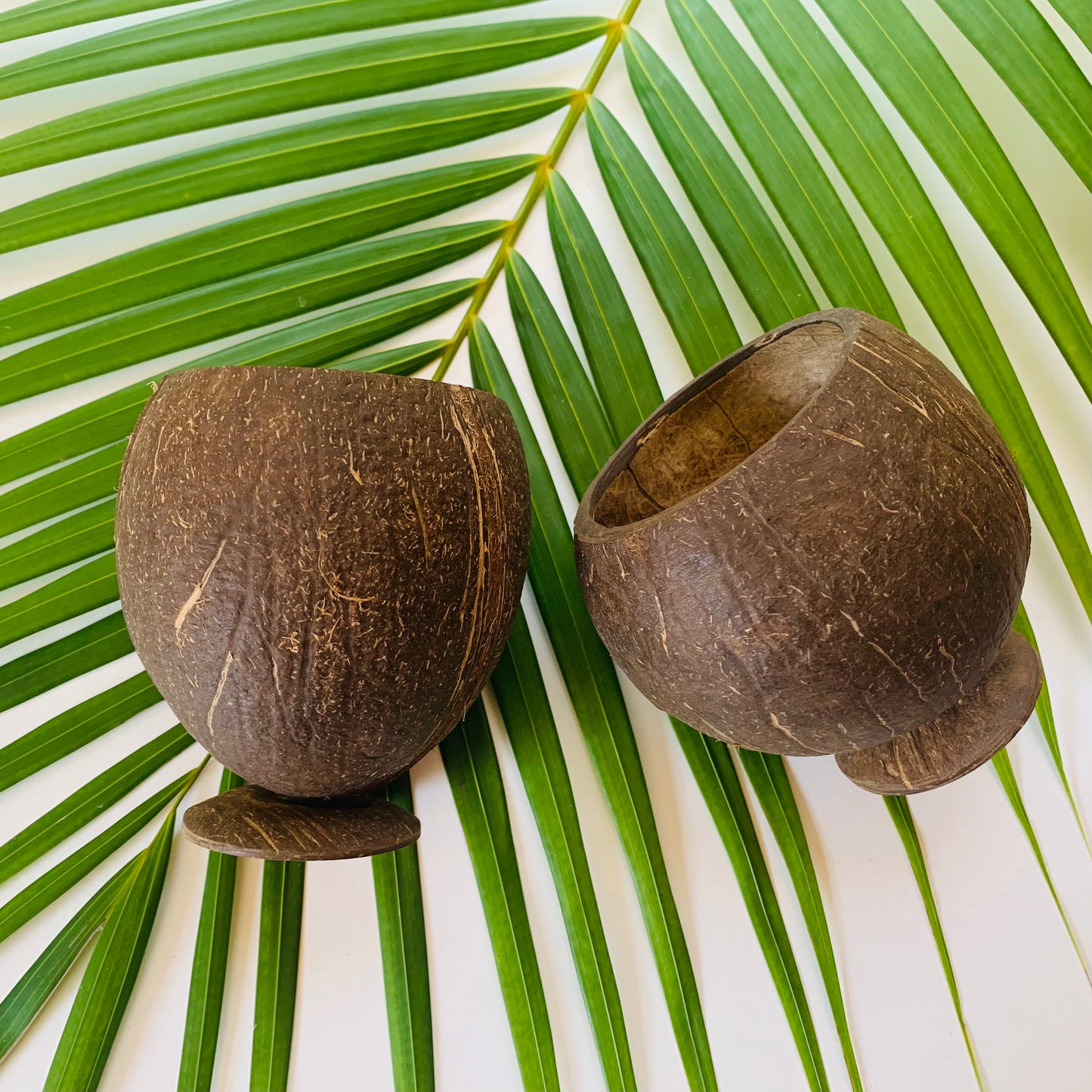 Authentic Coconut Cup