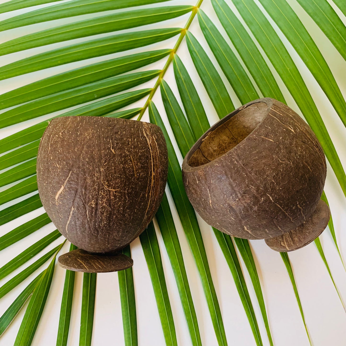 Coconut Cups, Authentic