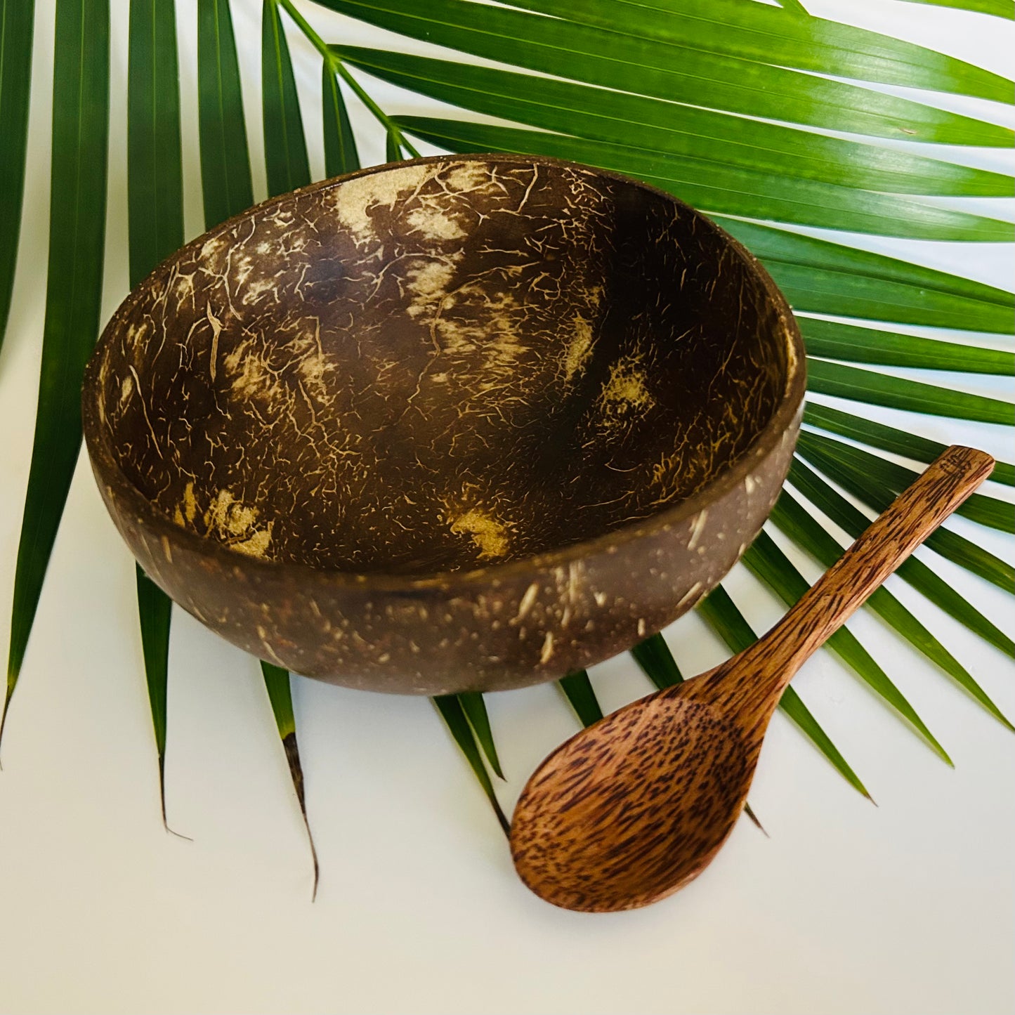 Coconut Bowl, Polished