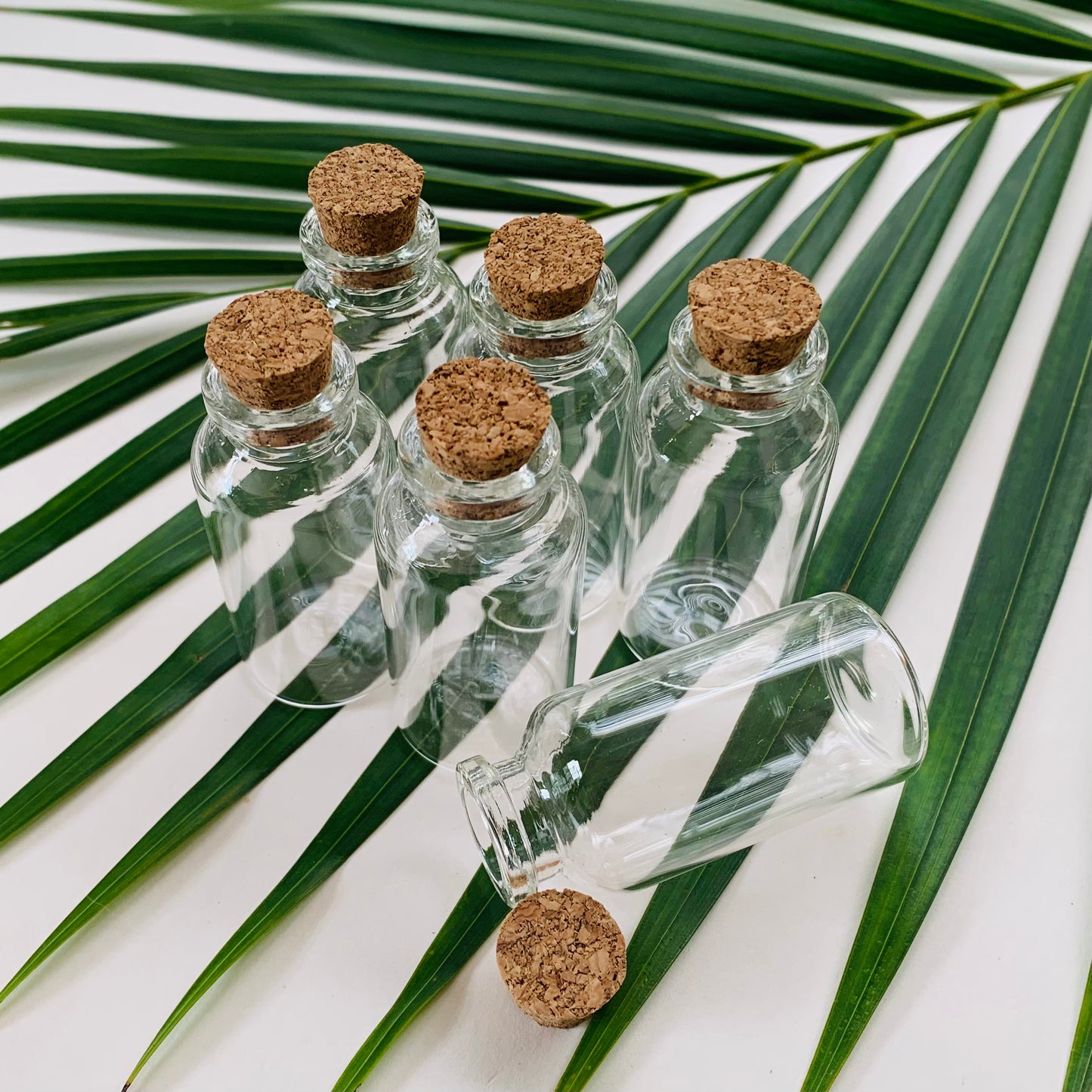 20ml Mini Glass Vial with Cork Stopper