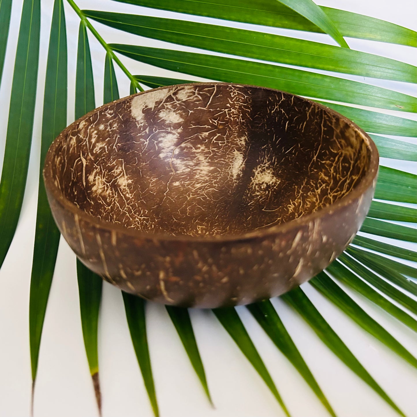 Coconut Bowl, Polished