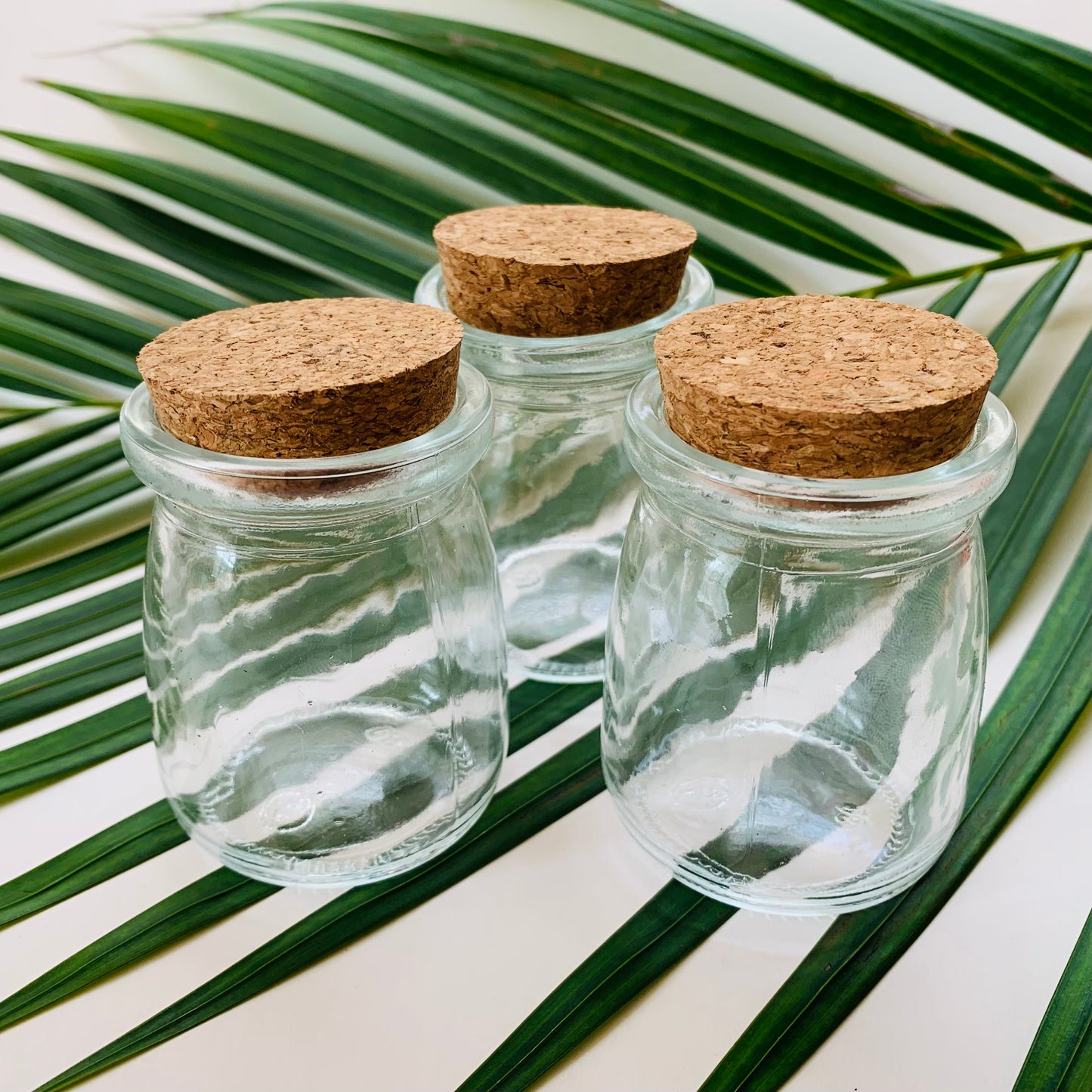 Mini Glass Jars with Cork Lids