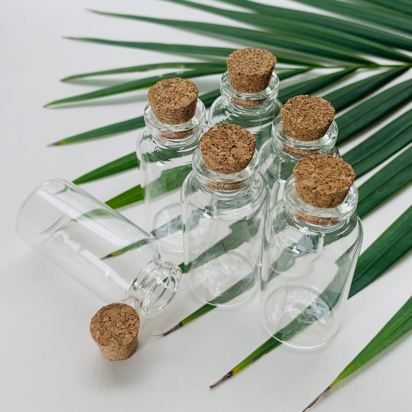 20ml Mini Glass Vial with Cork Stopper