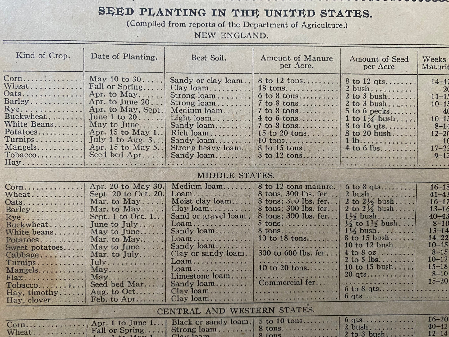 Rare 1917 Swamp Root Almanac
