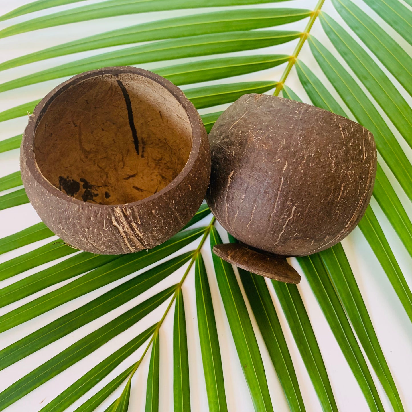 Coconut Cups, Authentic