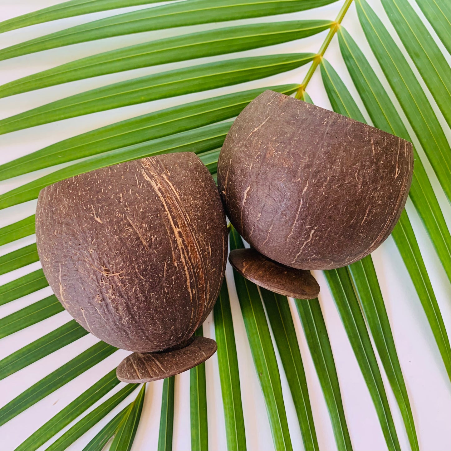 Authentic Coconut Cup