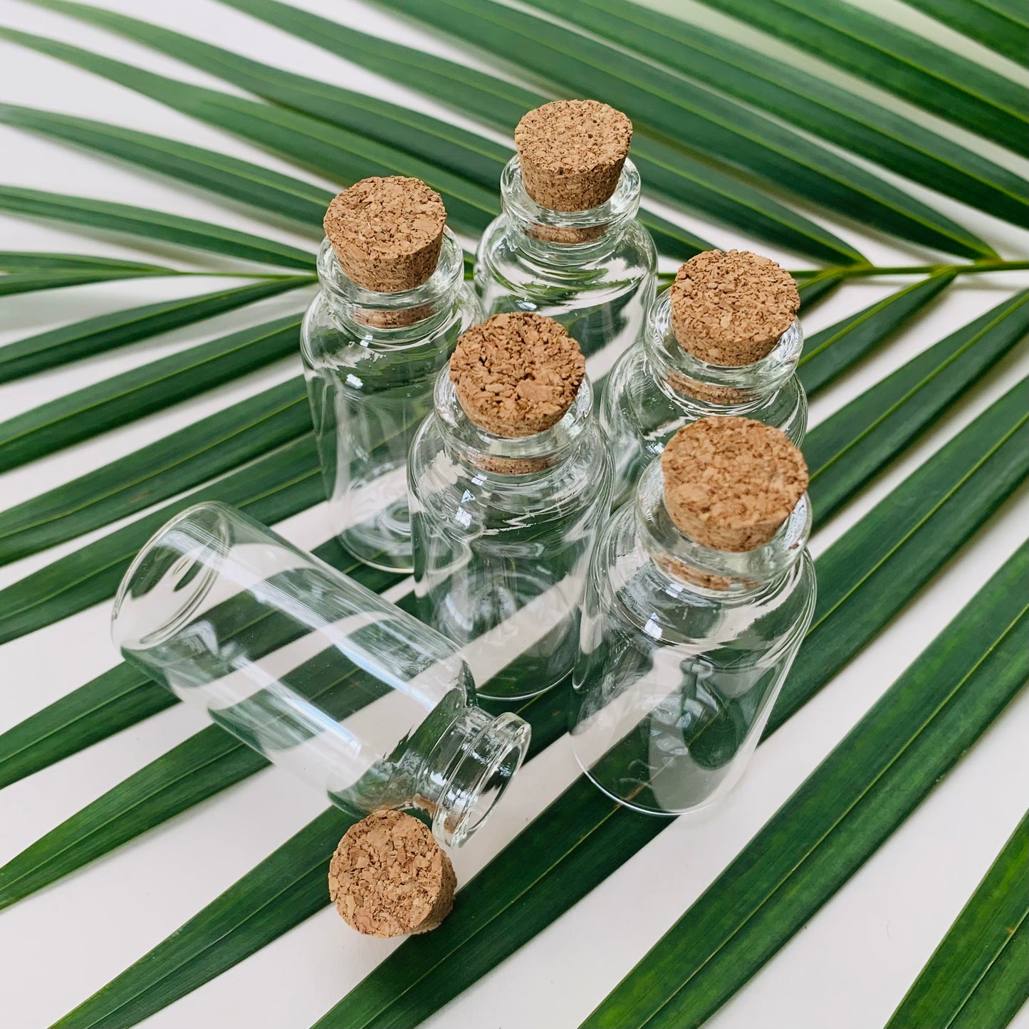 20ml Mini Glass Vial with Cork Stopper