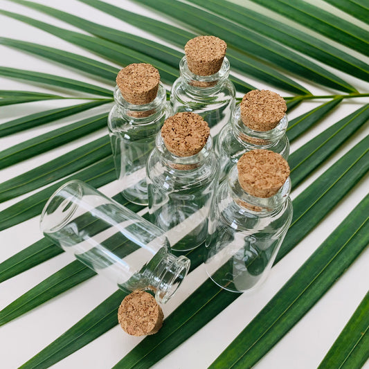 20ml Mini Glass Vial with Cork Stopper