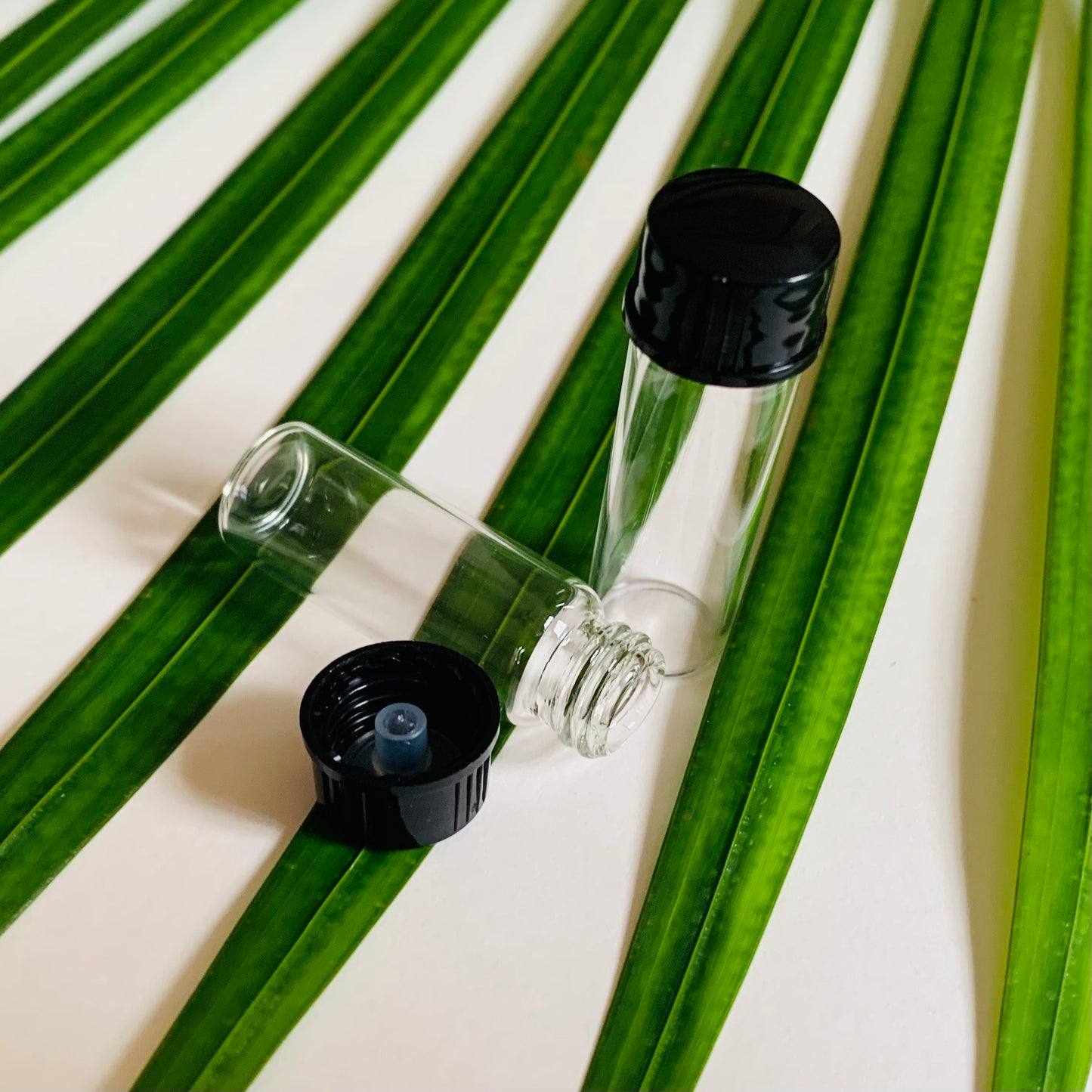 1 Dram Clear Vial with Cone Liner Black Caps