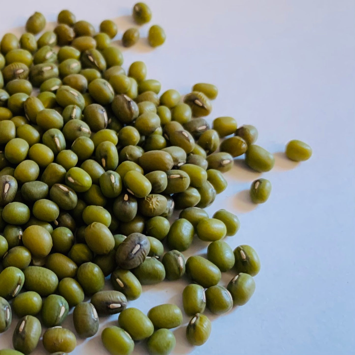 Mung Beans, Organic