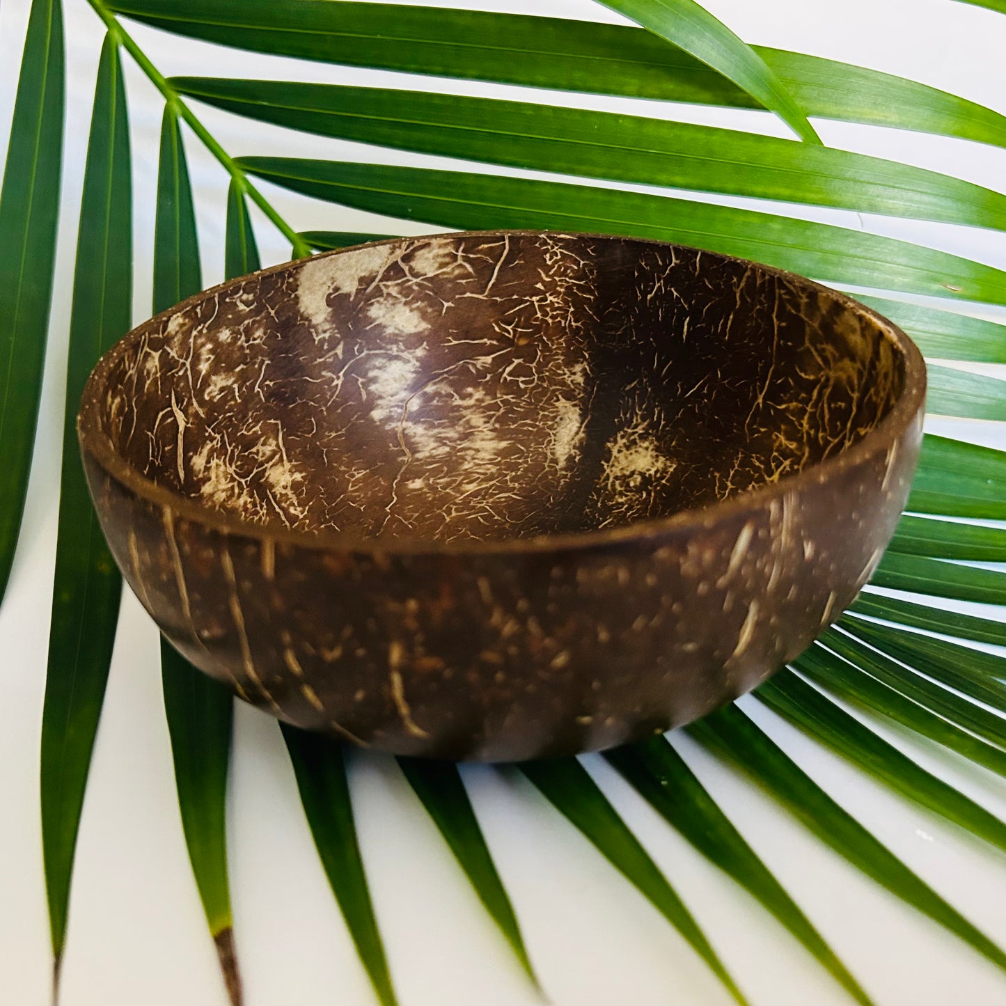 Coconut Bowl, Polished