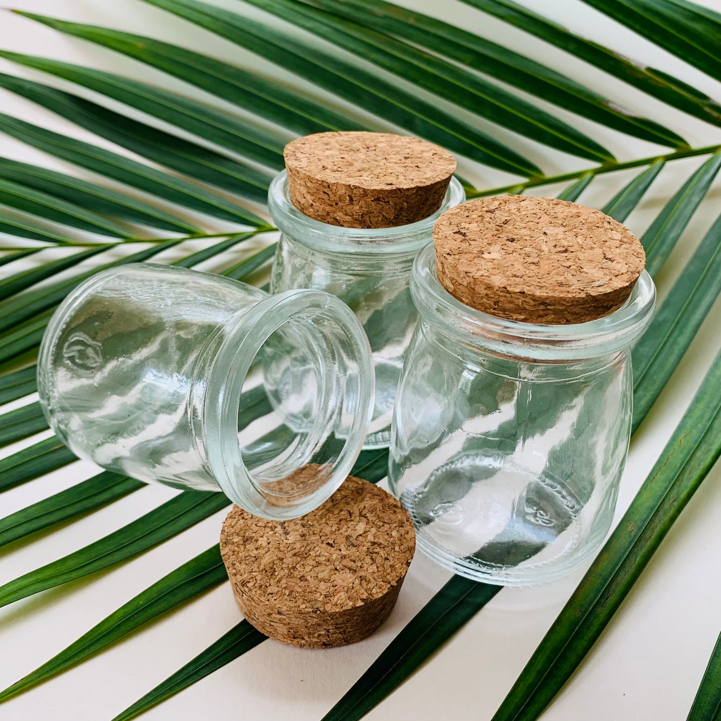 Mini Glass Jars with Cork Lids