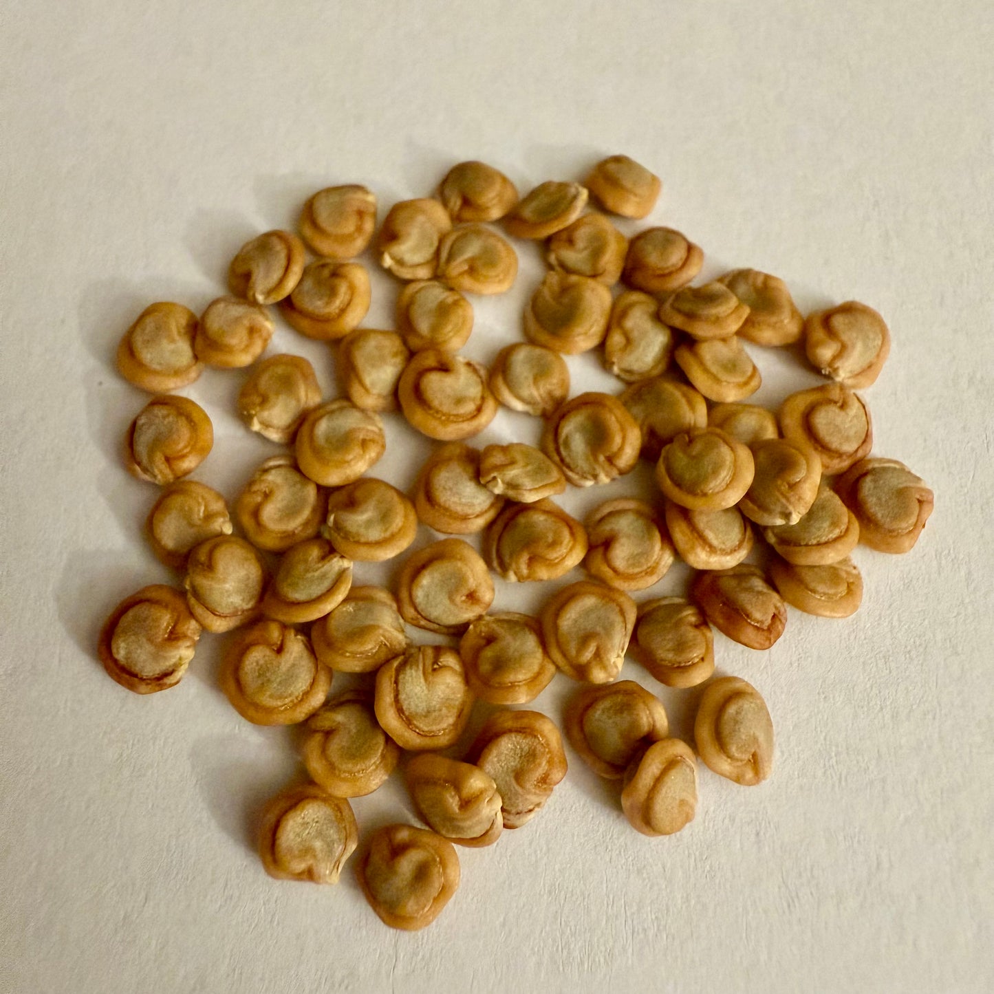 Pile of small, round, beige seeds on a light background