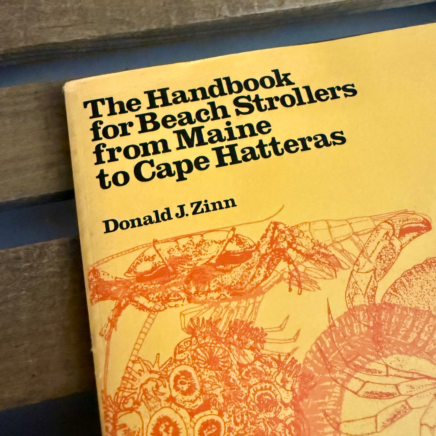 The Handbook for Beach Strollers from Maine to Cape Hatteras