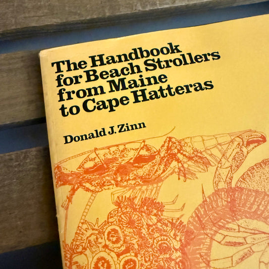 The Handbook for Beach Strollers from Maine to Cape Hatteras