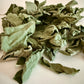 Dried Beautyberry Leaves (Callicarpa americana)