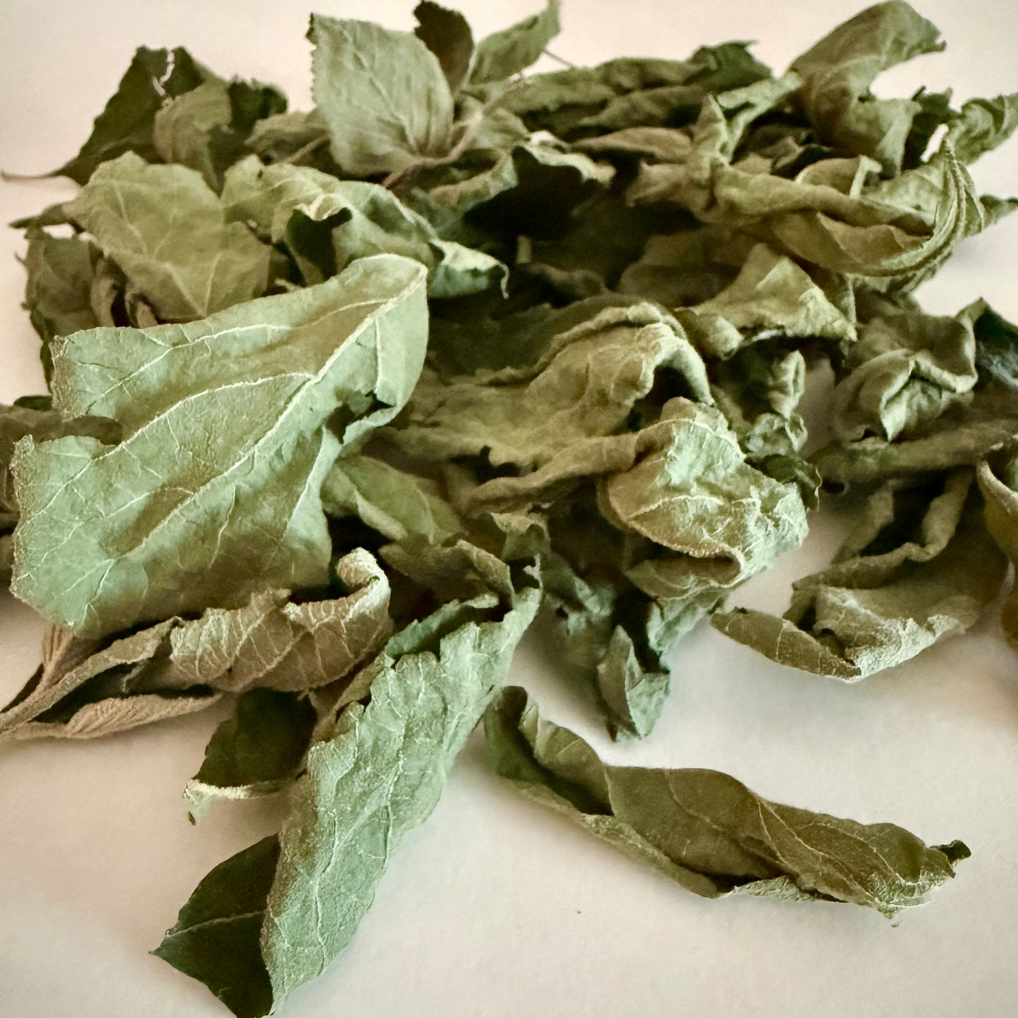 Dried Beautyberry Leaves (Callicarpa americana)