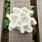 Mini Star Coral Skeleton – 1.1 oz Natural Ocean Specimen | Sun-Bleached Reef Coral