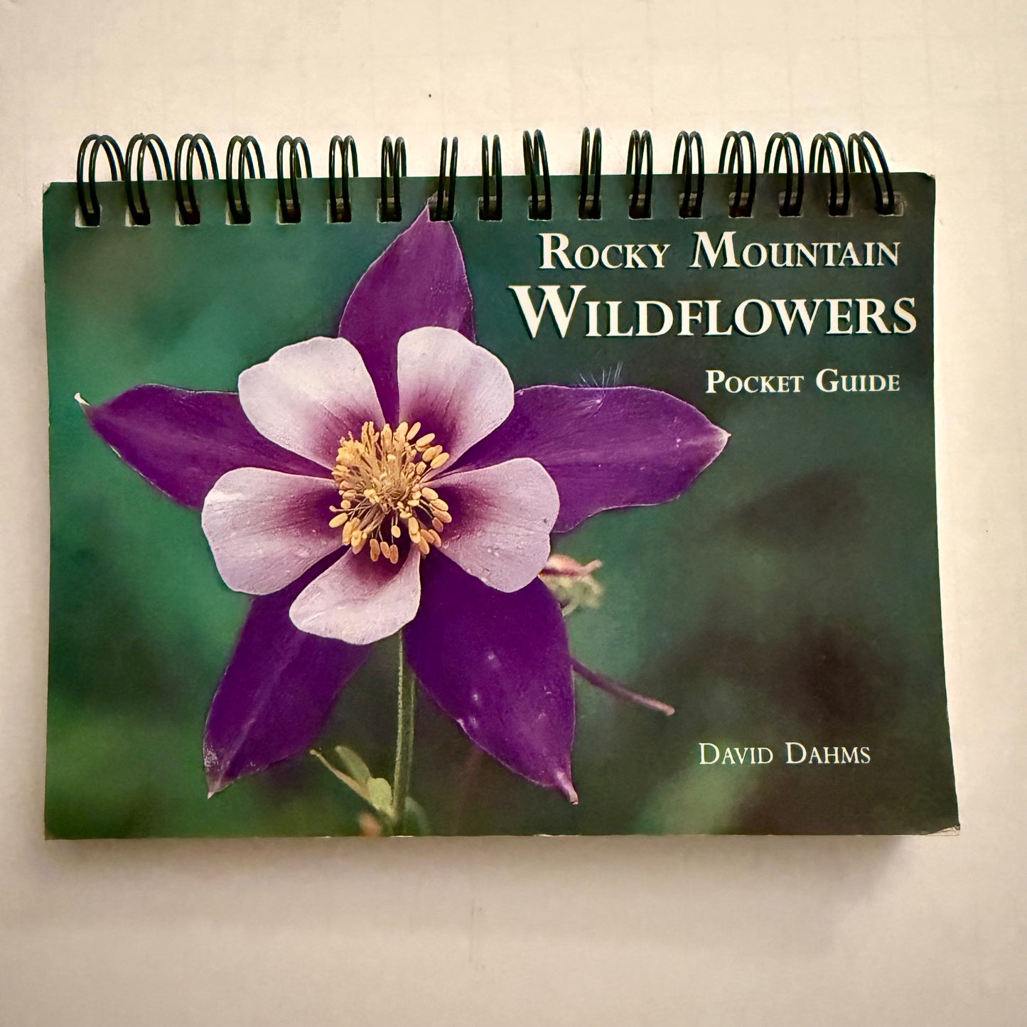 Rocky Mountain Wildflowers — Pocket Guide by David Dahms (Spiral-Bound Field Edition)