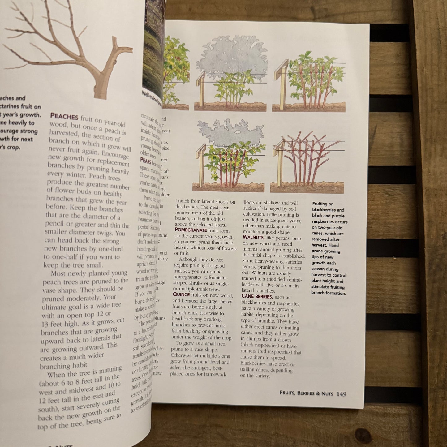 Complete Guide to Vegetables, Fruits & Herbs – Ortho Books