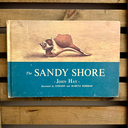 The Sandy Shore by John Hay — Illustrated by Edward and Marcia Norman