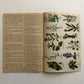The Herbalist Almanac - 1941 Edition