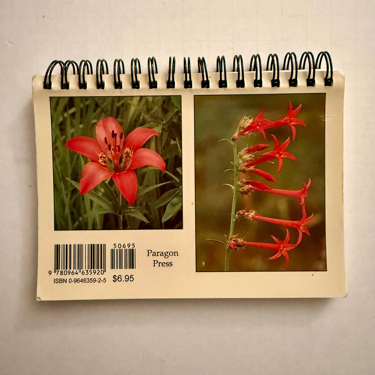 Rocky Mountain Wildflowers — Pocket Guide by David Dahms (Spiral-Bound Field Edition)