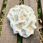 Natural Coral Skeleton – 4.8 oz Star Coral | Sun-Bleached Ocean Specimen & Coastal Décor