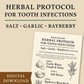 Herbal Protocol for Tooth Infections – “Salt, Garlic, Bayberry” (Digital Download)