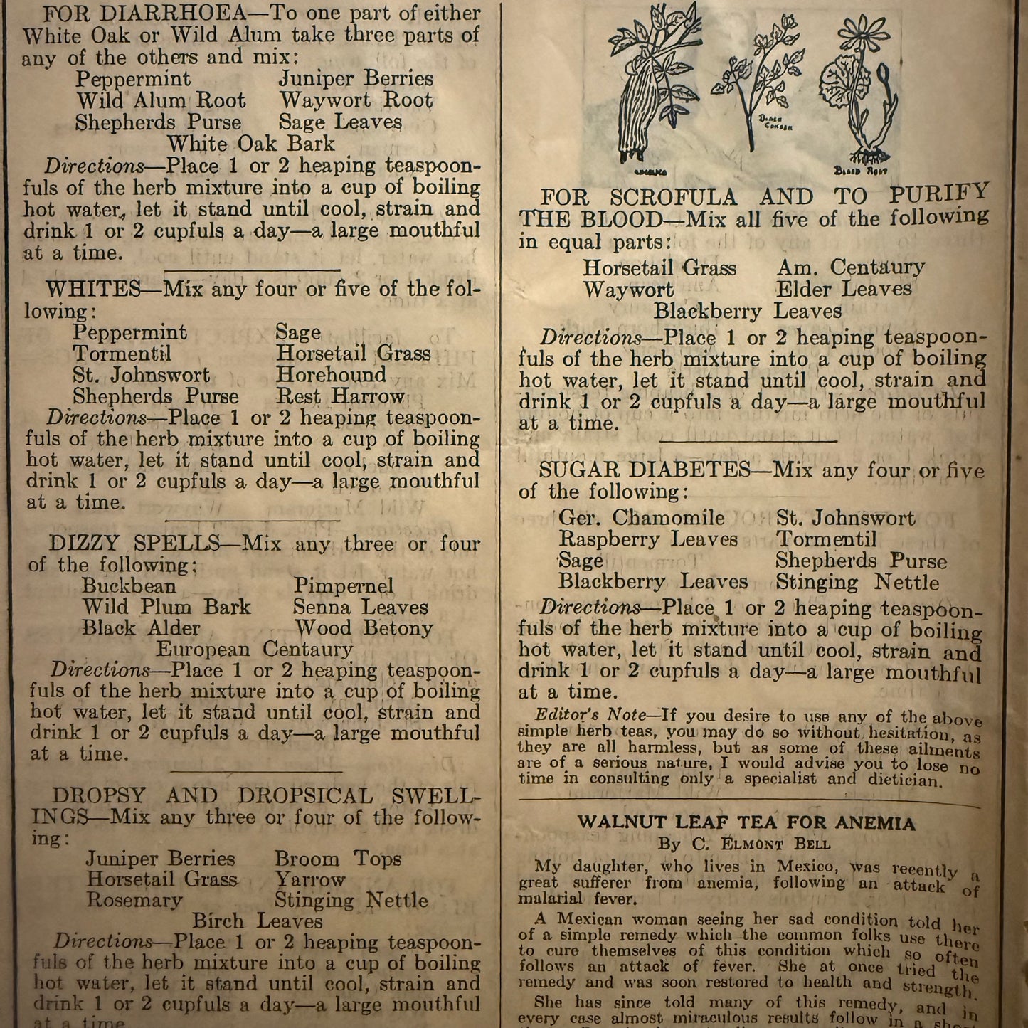 1933 Herbalist Almanac November Pages — Vintage Herbal Remedies, Moon Chart & Folk Medicine Ephemera