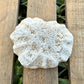 Natural Coral Skeleton – 3.4 oz Star Coral | Sun-Bleached Ocean Specimen & Coastal Décor