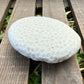 Natural Coral Skeleton – 6.3 oz Sun-Bleached Star Coral | Coastal Décor & Ocean Specimen