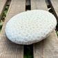 Natural Coral Skeleton – 6.3 oz Sun-Bleached Star Coral | Coastal Décor & Ocean Specimen