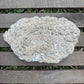 Decorative stone on a wooden surface with grass in the background