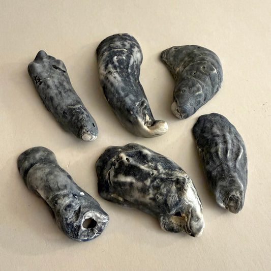 Water-Worn Oyster Shells