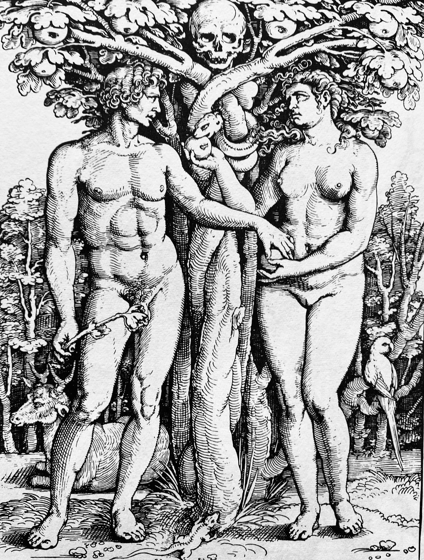 Garden of Eden T-Shirt