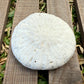 Natural Coral Skeleton – 6.3 oz Sun-Bleached Star Coral | Coastal Décor & Ocean Specimen