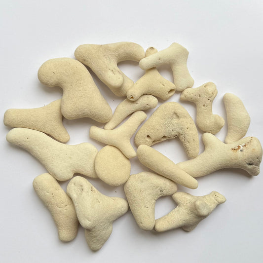 Tumbled White Coral Fragments – 10 oz Collection | Natural Sea Bone Coral Pieces