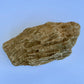 Fossilized Coral Specimen – 1.5 lb - Ancient Sea Stone