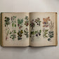 The Herbalist - 1960 Edition