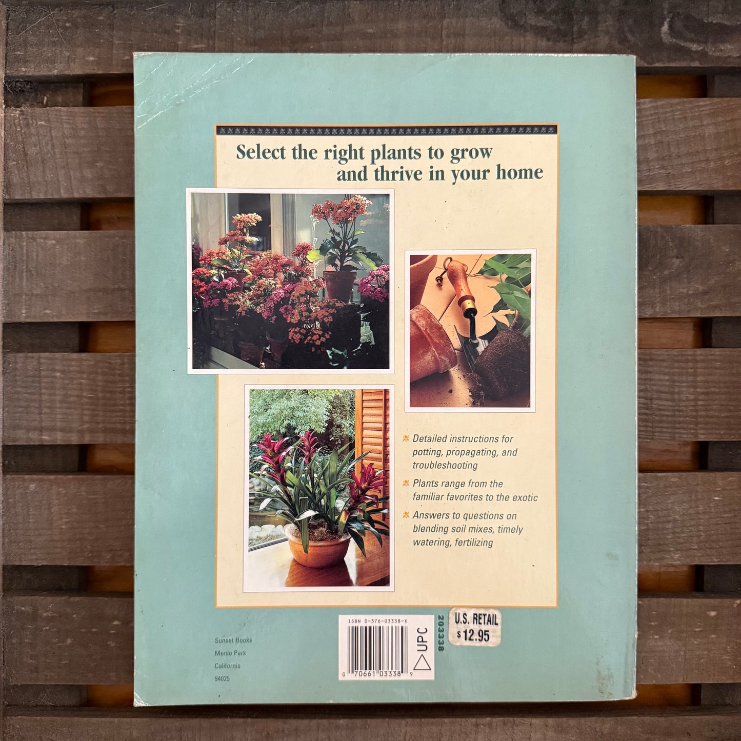 Sunset Houseplants – Vintage Guide to Growing Plants Indoors