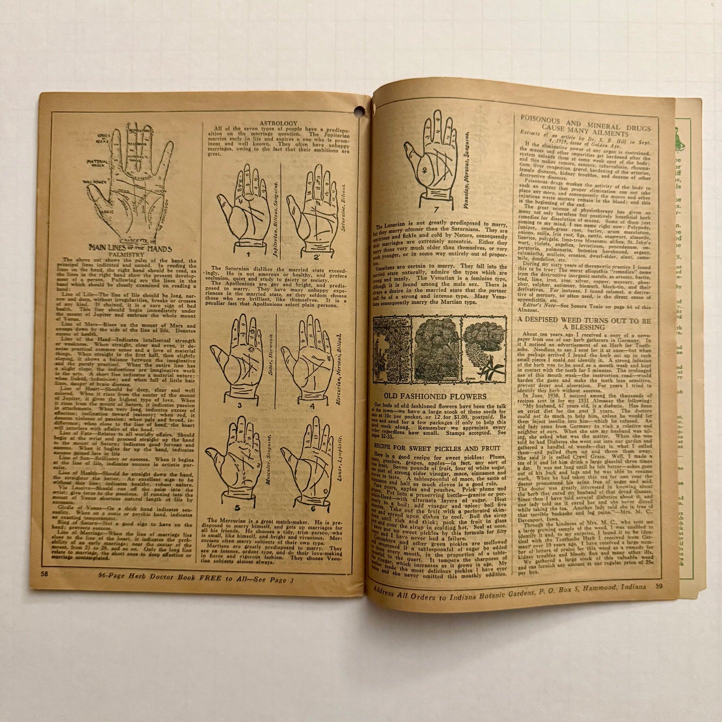 The Herbalist Almanac - 1931 Edition
