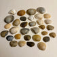 Collection of various shell shapes and sizes arranged on a beige background