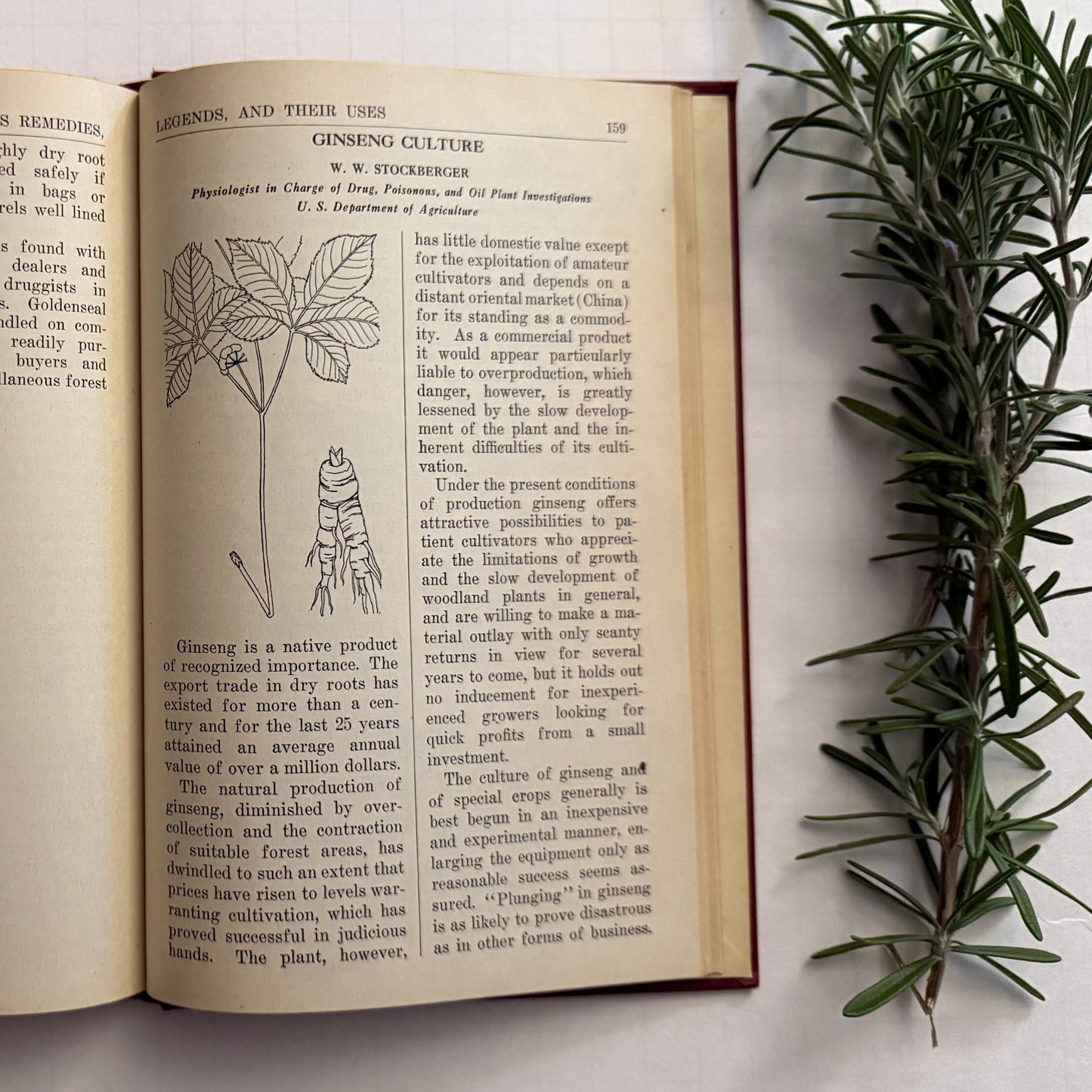Natures Remedies 1934