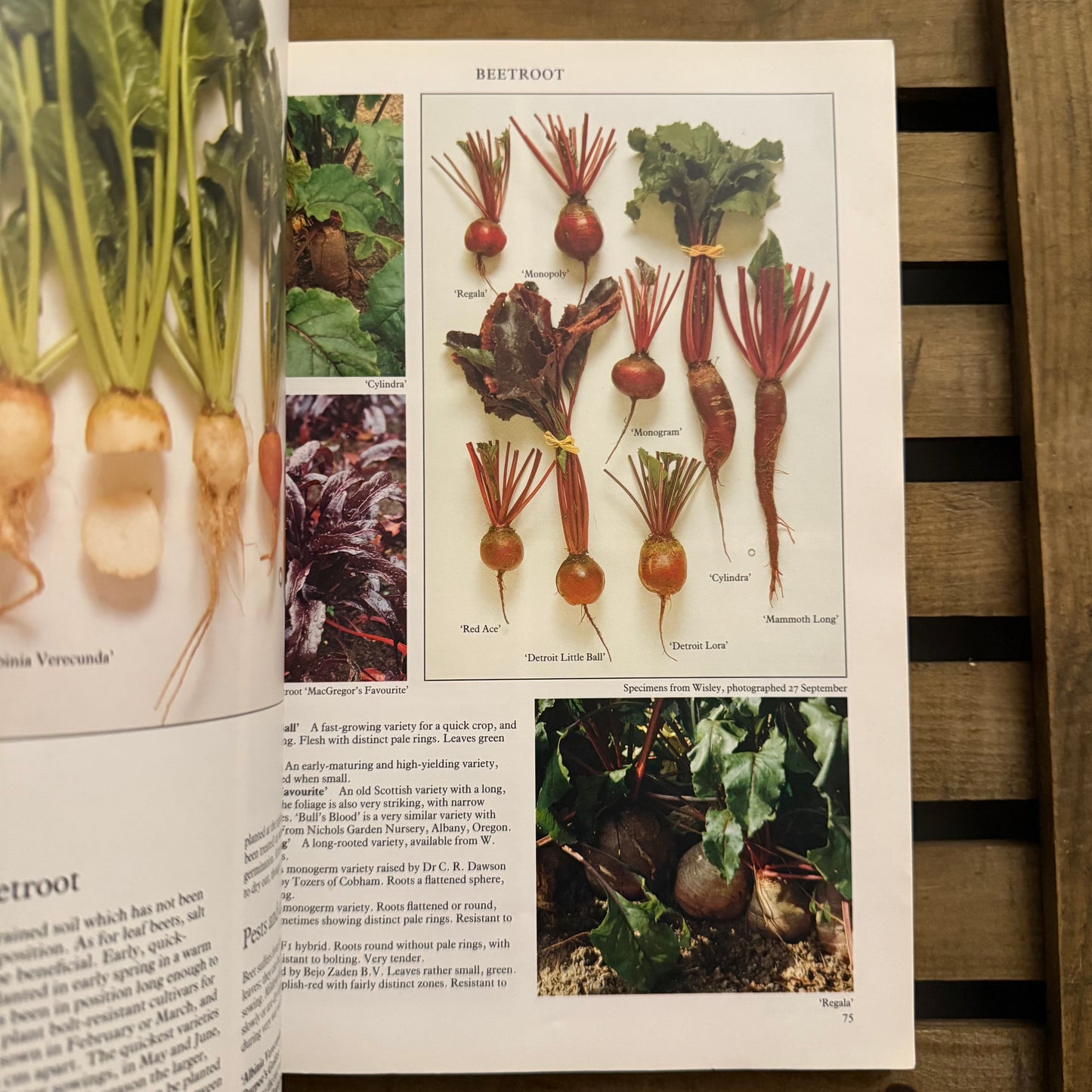 The Random House Book of Vegetables – Over 650 Vegetables in Superb Colour